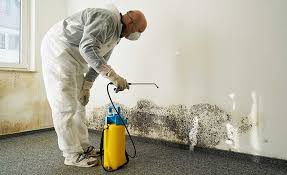 Trusted Chena Ridge, AK Mold Removal Experts